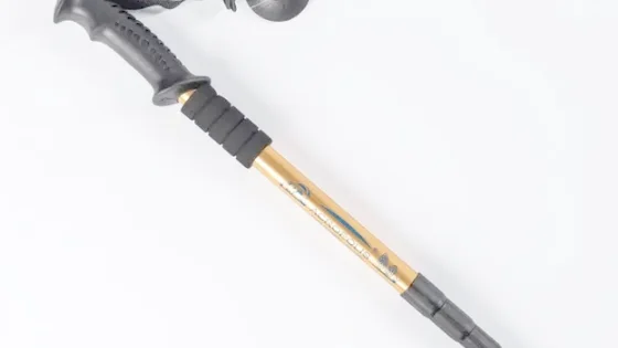 Палиця грибника з компасом Acropolis ПМГ-1 (золота)