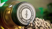 100% Hemp Oil / Конопляна олія 250 мл 100% Hemp Oil / Конопляна олія 250 мл