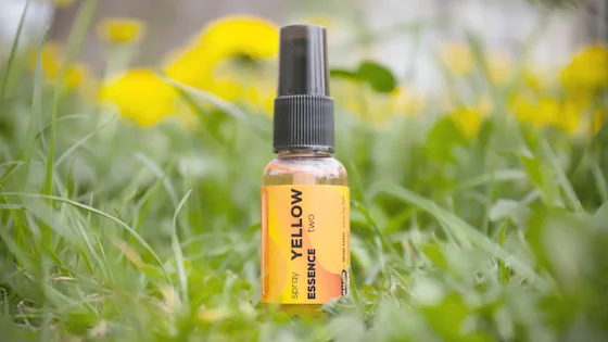 Спрей Essence - YELLOW TWO / Солодка Класика, ТМ IRON FISH