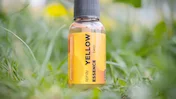 Спрей Essence - YELLOW TWO / Солодка Класика, ТМ IRON FISH Спрей Essence - YELLOW TWO / Солодка Класика, ТМ IRON FISH