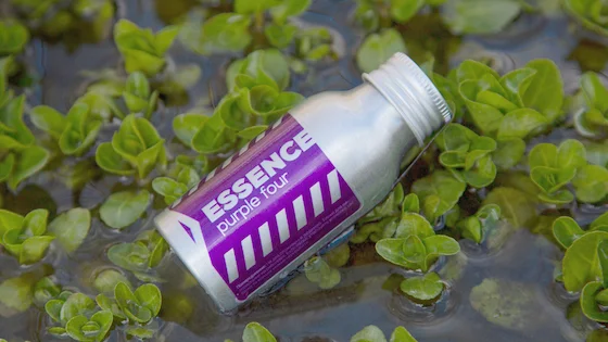 Концентрована арома - Essence Purple four / Насичений Кальмар