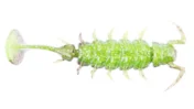 Віброхвіст/німфа силікон. ALIEN BUG LJ Pro Series  2,5 "/ T44 *7