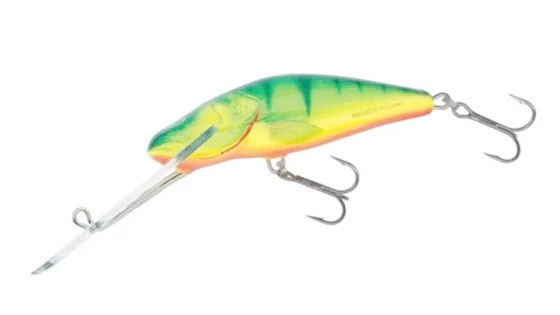 Воблер плаваюч. SALMO BULLHEAD 6SDR / HP