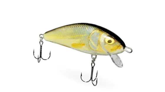 Воблер плаваюч. SALMO FATSO CRANK 10C / RR