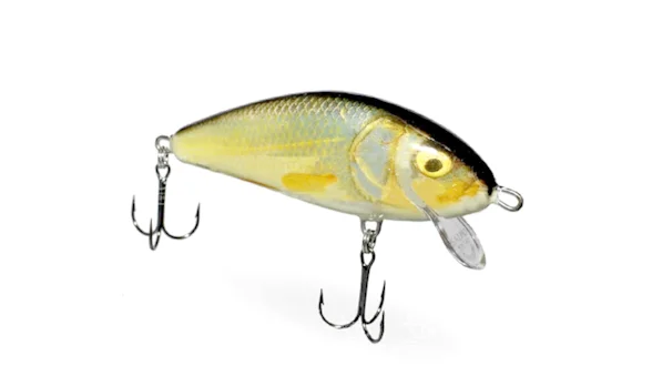 Воблер плаваюч. SALMO FATSO CRANK 10C / RR