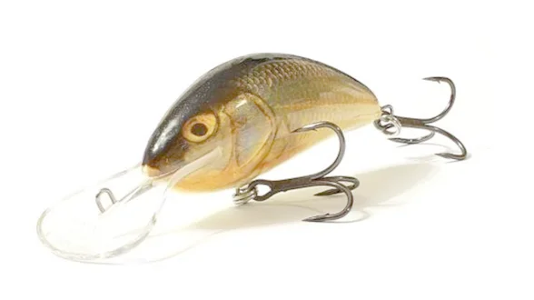 Воблер плаваюч. SALMO HORNET 9F / RR