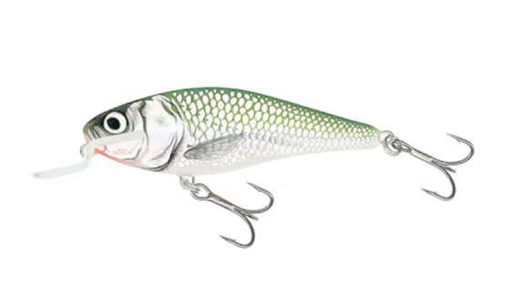 Воблер плаваюч. SALMO EXECUTOR 7SR / EF