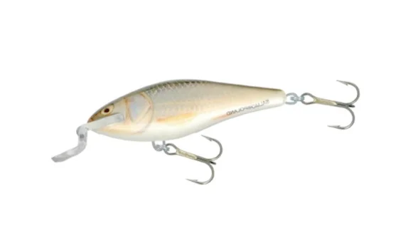 Воблер плаваюч. SALMO EXECUTOR 7SR / RR