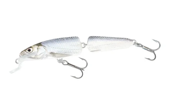 Воблер плаваюч. SALMO FANATIC 7F / RBL