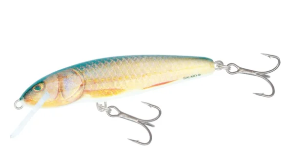 Воблер плаваюч. SALMO MINNOW 6F / RR
