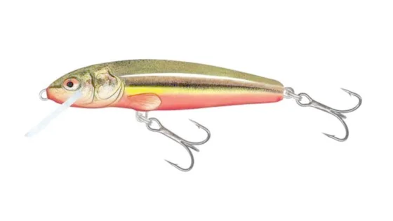 Воблер тонуч. SALMO MINNOW 6S / RBD