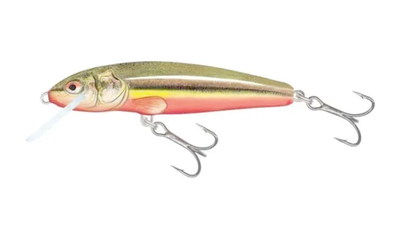 Воблер тонуч. SALMO MINNOW 6S / RBD