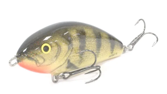 Пулбейт плаваюч. SALMO FATSO 10F / EP