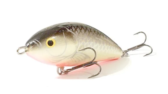 Пулбейт плаваюч. SALMO FATSO 10F / GS