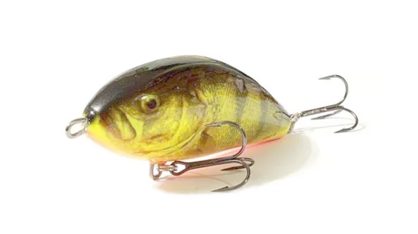 Пулбейт плаваюч. SALMO FATSO 10F / RHP