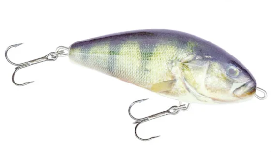 Пулбейт плаваюч. SALMO FATSO 10F / RPH