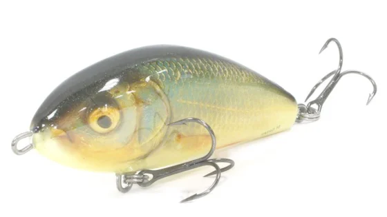 Пулбейт плаваюч. SALMO FATSO 10F / RR