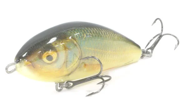 Пулбейт плаваюч. SALMO FATSO 10F / RR