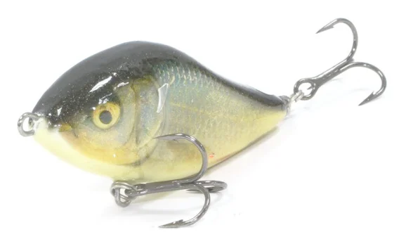 Глайдер плаваюч. SALMO SLIDER 5F / RR