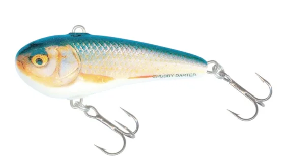 Воблер SALMO CHUBBY DARTER CD3-RR