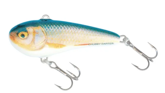 Воблер SALMO CHUBBY DARTER CD4-RR