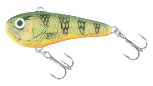 Воблер SALMO CHUBBY DARTER CD5-GRP АКЦІЯ!!!!!!