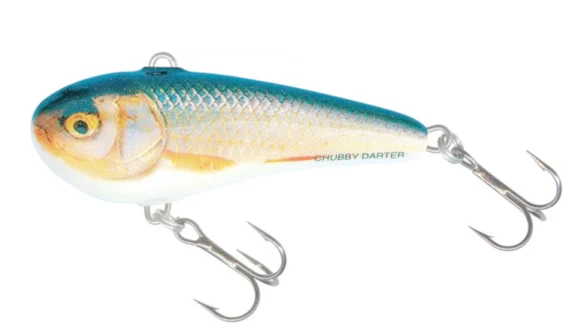 Воблер SALMO CHUBBY DARTER CD5-RR