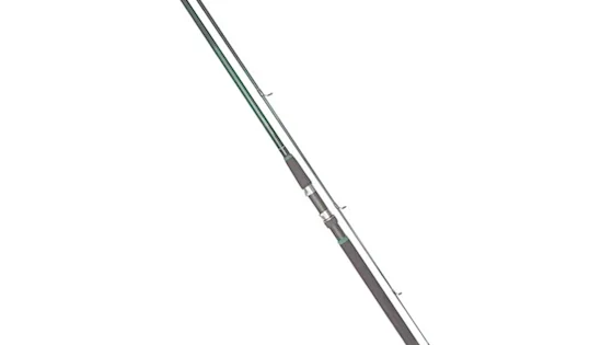 Вудилище спінінгове Salmo Taifun SPIN 40 10-40/2.40